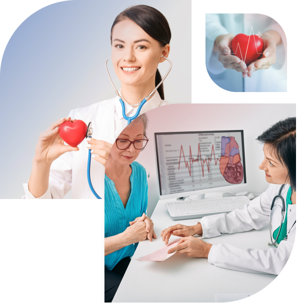 Cardiologist In Willow Vale